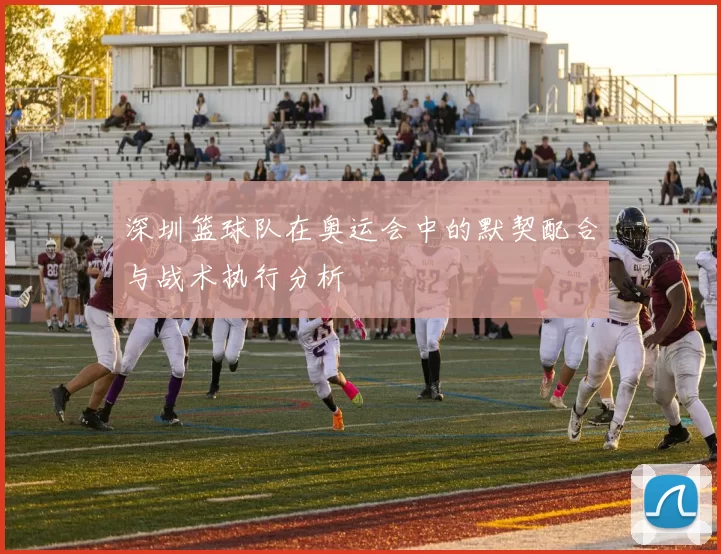 深圳篮球队在奥运会中的默契配合与战术执行分析