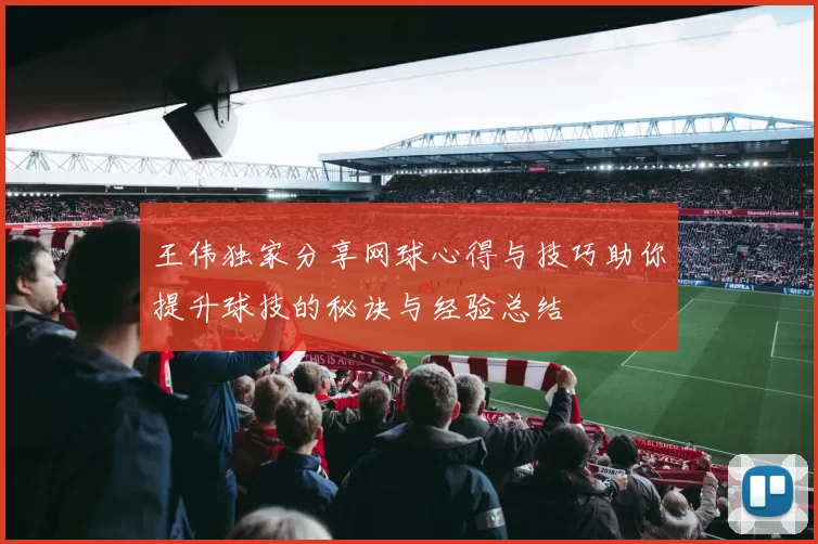 王伟独家分享网球心得与技巧助你提升球技的秘诀与经验总结