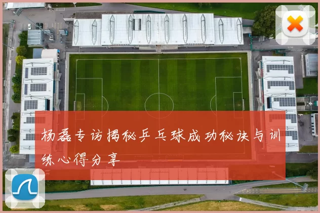 杨磊专访揭秘乒乓球成功秘诀与训练心得分享