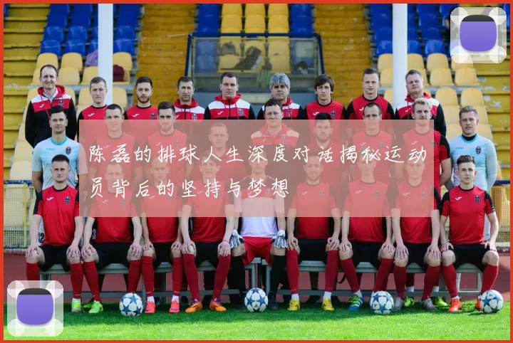 陈磊的排球人生深度对话揭秘运动员背后的坚持与梦想