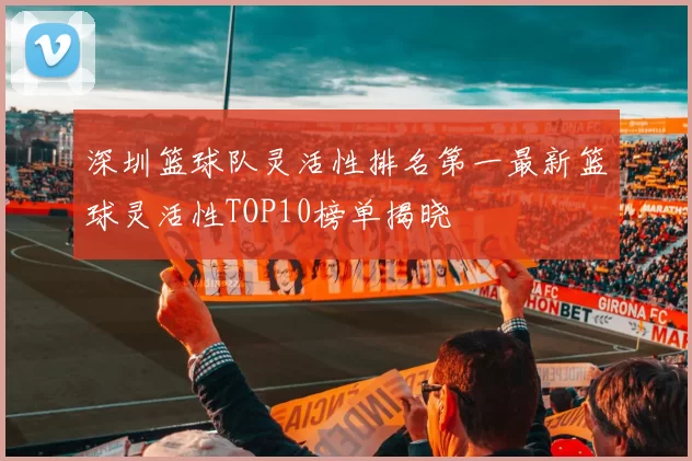 深圳篮球队灵活性排名第一最新篮球灵活性TOP10榜单揭晓