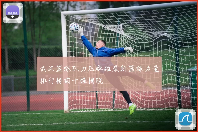 武汉篮球队力压群雄最新篮球力量排行榜前十强揭晓