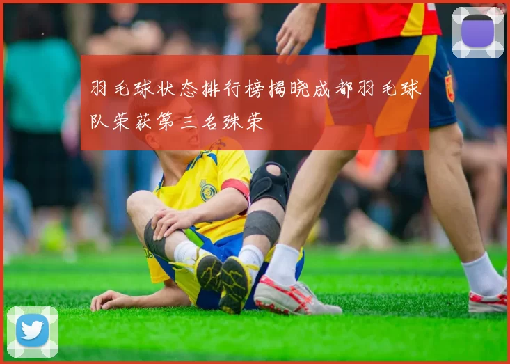 羽毛球状态排行榜揭晓成都羽毛球队荣获第三名殊荣
