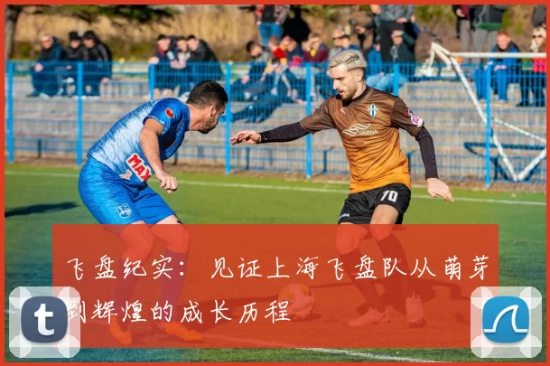 飞盘纪实：见证上海飞盘队从萌芽到辉煌的成长历程