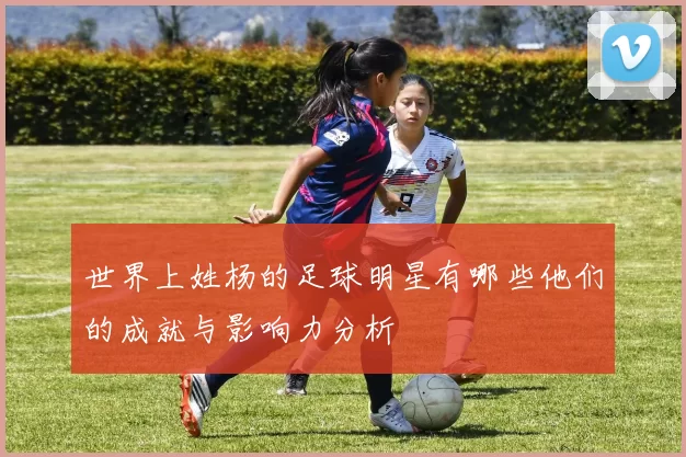 世界上姓杨的足球明星有哪些他们的成就与影响力分析