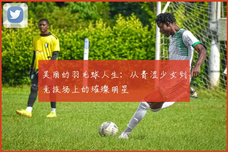 吴丽的羽毛球人生：从青涩少女到竞技场上的璀璨明星