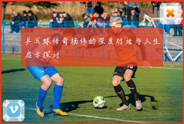 乒乓球传奇杨伟的深度对话与人生启示探讨