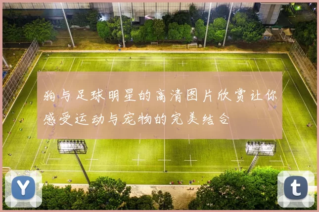 狗与足球明星的高清图片欣赏让你感受运动与宠物的完美结合