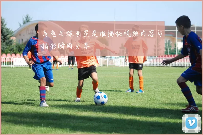 乌龟足球明星是谁揭秘视频内容与精彩瞬间分享