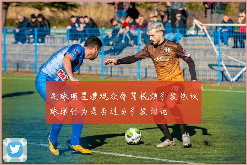 足球明星遭观众辱骂视频引发热议球迷行为是否过分引发讨论