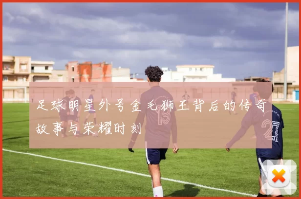足球明星外号金毛狮王背后的传奇故事与荣耀时刻