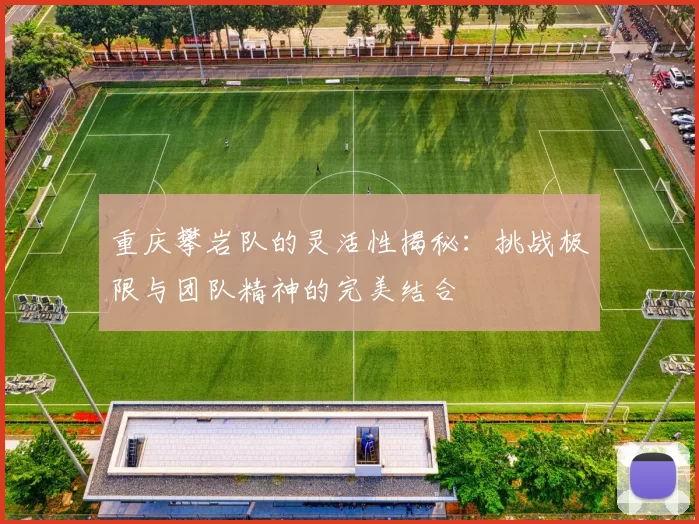 重庆攀岩队的灵活性揭秘：挑战极限与团队精神的完美结合