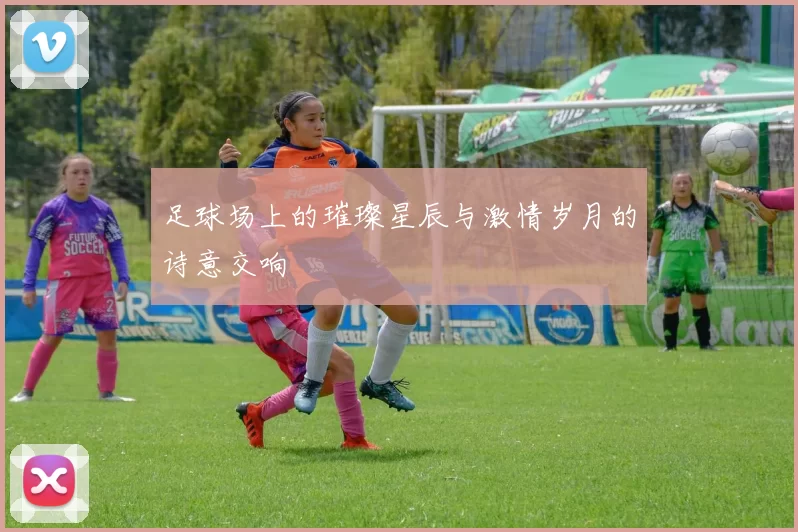 足球场上的璀璨星辰与激情岁月的诗意交响