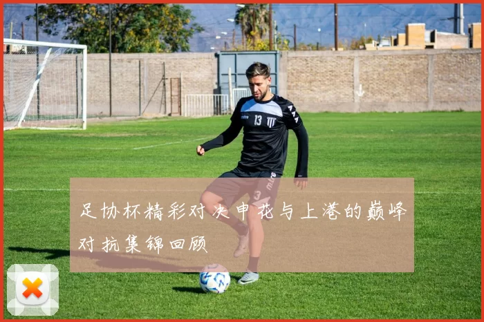足协杯精彩对决申花与上港的巅峰对抗集锦回顾