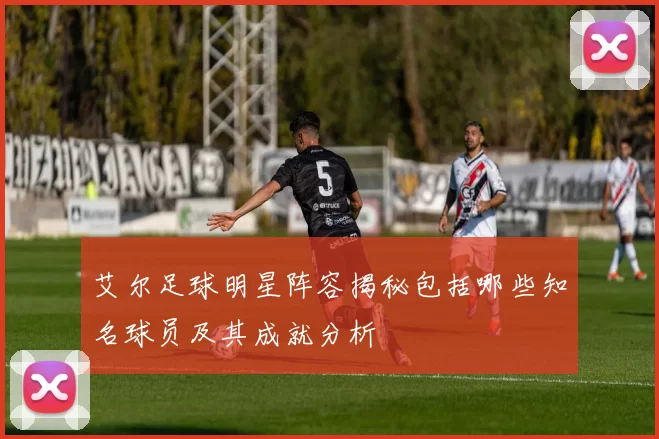 艾尔足球明星阵容揭秘包括哪些知名球员及其成就分析