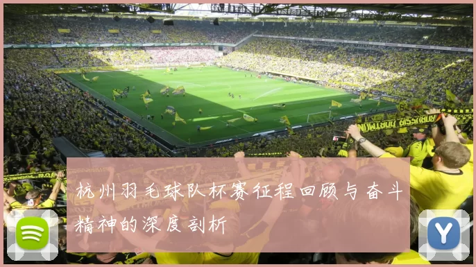 杭州羽毛球队杯赛征程回顾与奋斗精神的深度剖析