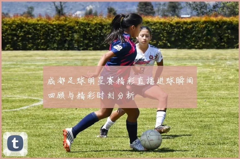 成都足球明星赛精彩直播进球瞬间回顾与精彩时刻分析