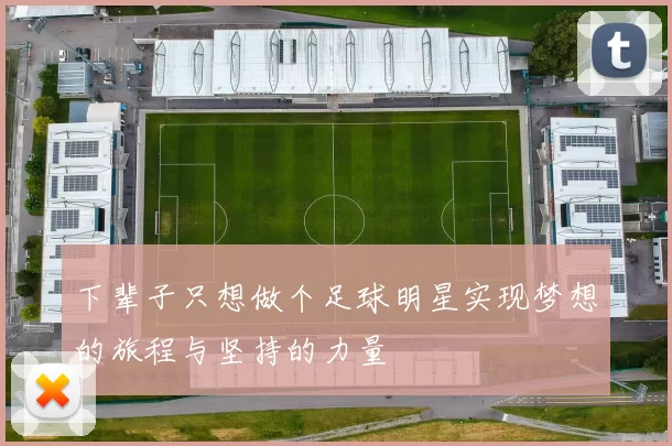 下辈子只想做个足球明星实现梦想的旅程与坚持的力量