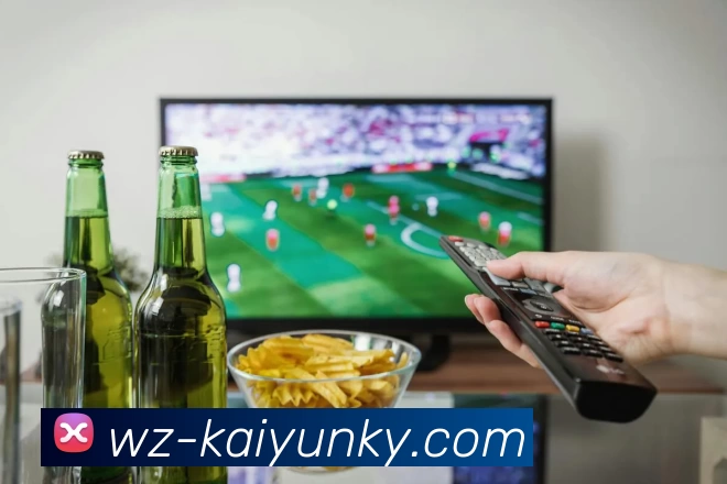 多媒体互动体验