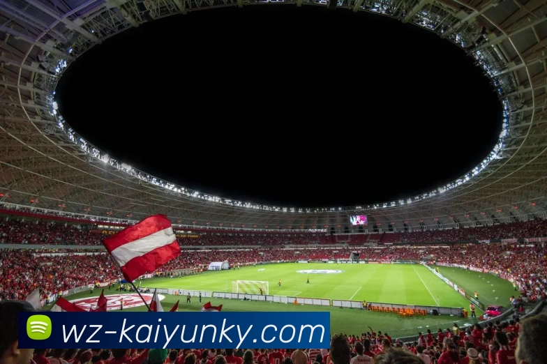 开云APP 体育赛事宣传图